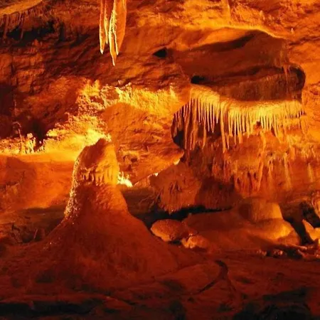 Апартаменты Royal Добржиш