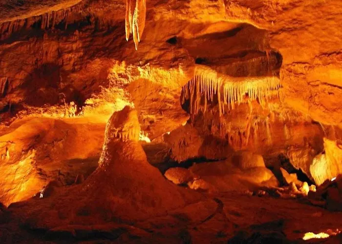 アパート Royal ドブジーシュ